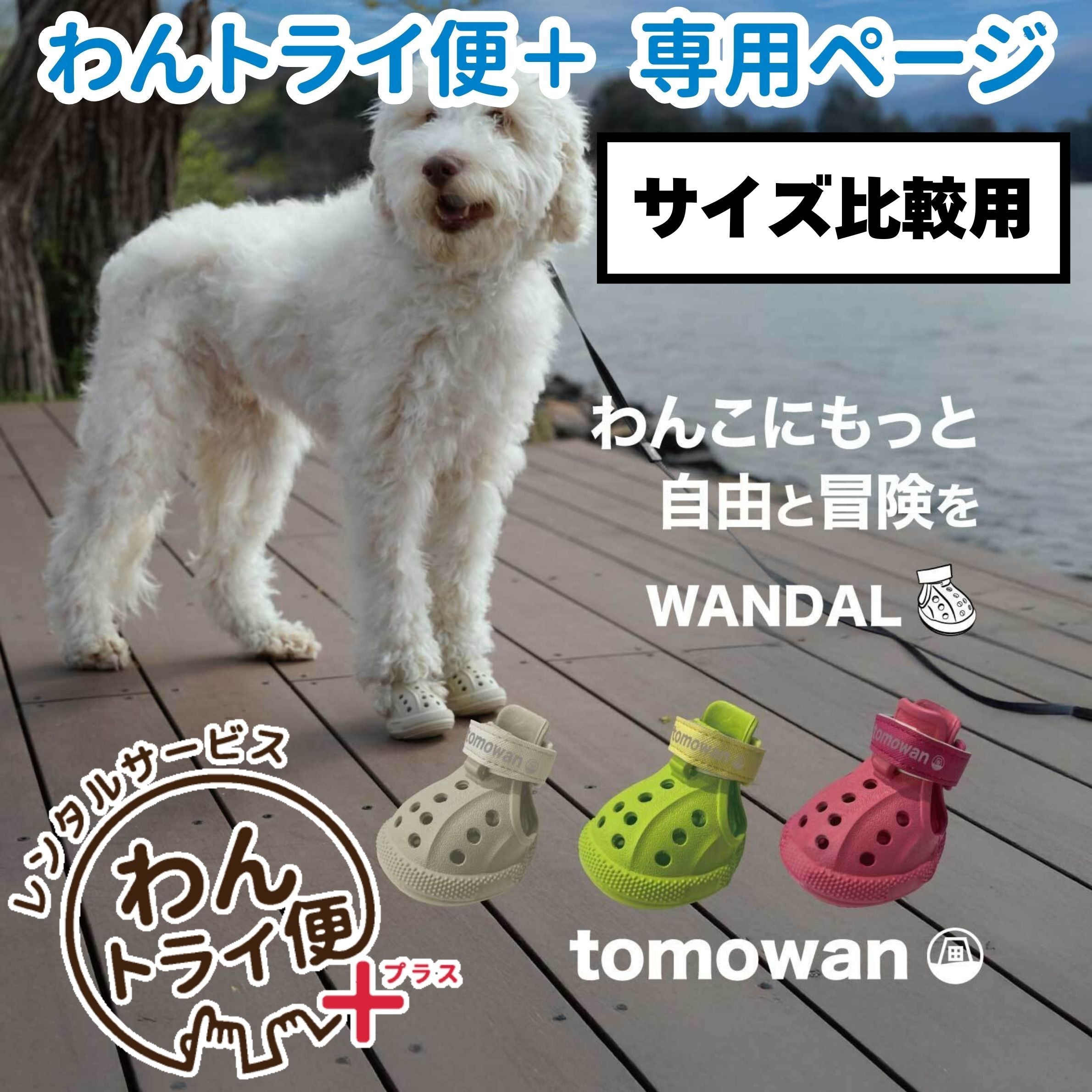 わんちゃんさん専用 レンタルサービスわんトライ便+】 わんちゃん専用シューズ WANDAL