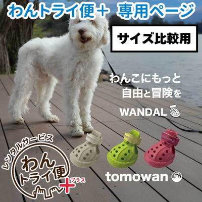 【レンタルサービスわんトライ便+】　わんちゃん専用シューズ WANDAL（ワンダル）4個入 前後サイズ比較用　【7日間のみ】