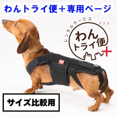 【レンタルサービスわんトライ便+】　わんコル With　ハードタイプ　犬用サポーター　コルセット 前後サイズ比較用　【7日間のみ】
