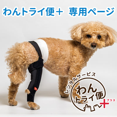 【レンタルサービスわんトライ便+】アニサポ ニーフィット
