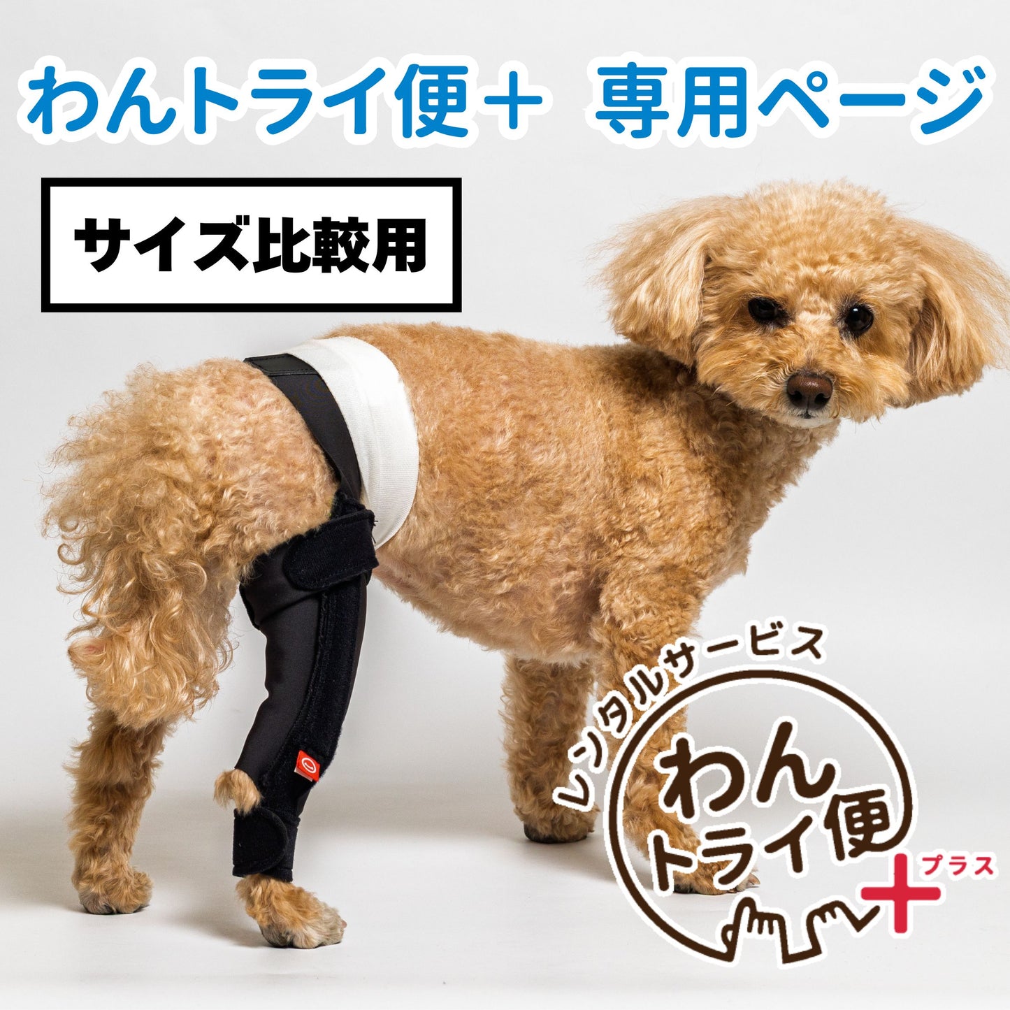 【レンタルサービスわんトライ便+】アニサポ ニーフィット 前後サイズ比較用　【7日間のみ】