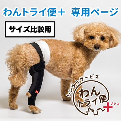 【レンタルサービスわんトライ便+】アニサポ ニーフィット 前後サイズ比較用　【7日間のみ】