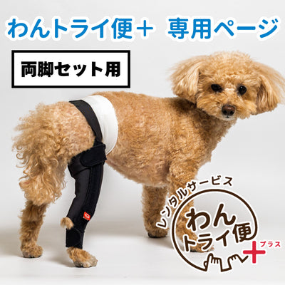 【レンタルサービスわんトライ便+】アニサポ ニーフィット 両脚セット用　【7日間のみ】