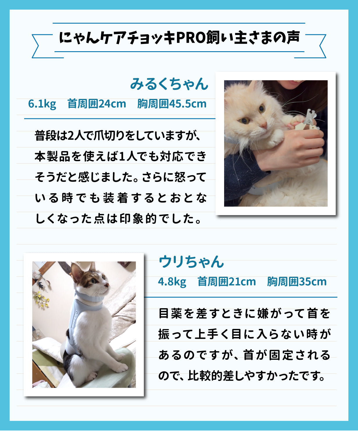 アニサポ にゃんケアチョッキPro　