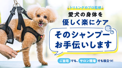 アニサポ ケアサポートホルダー【2025年9月新発売】