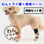 【レンタルサービスわんトライ便+】　アニサポ キック (手首・足首サポーター) 両脚セット用　【7日間】