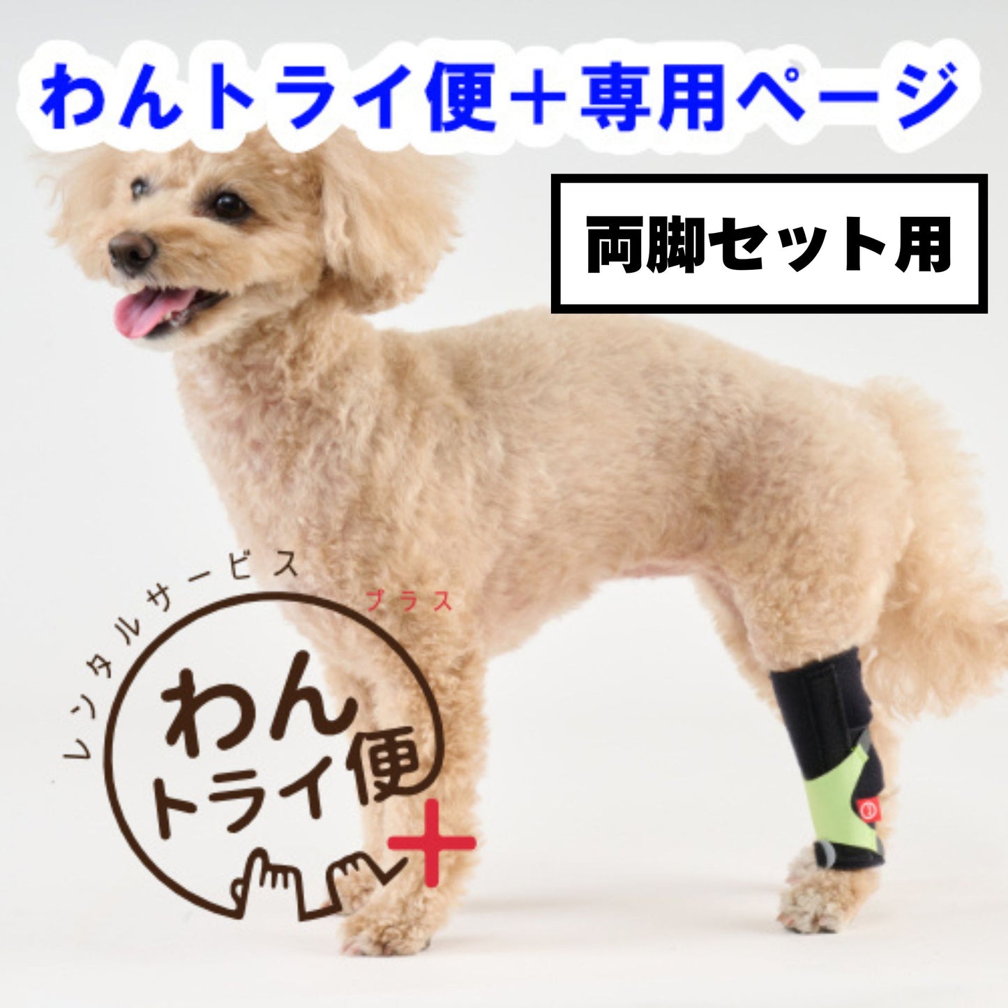 【レンタルサービスわんトライ便+】　アニサポ キック (手首・足首サポーター) 両脚セット用　【7日間】