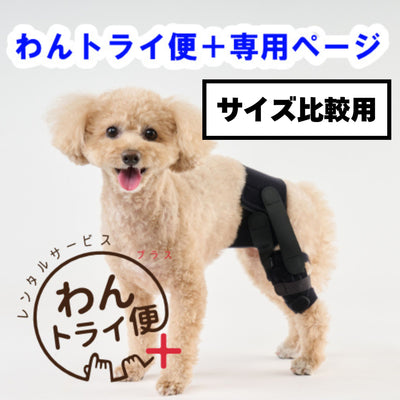 【レンタルサービスわんトライ便+】　アニサポ パテラン 前後サイズ比較用　【7日間のみ】