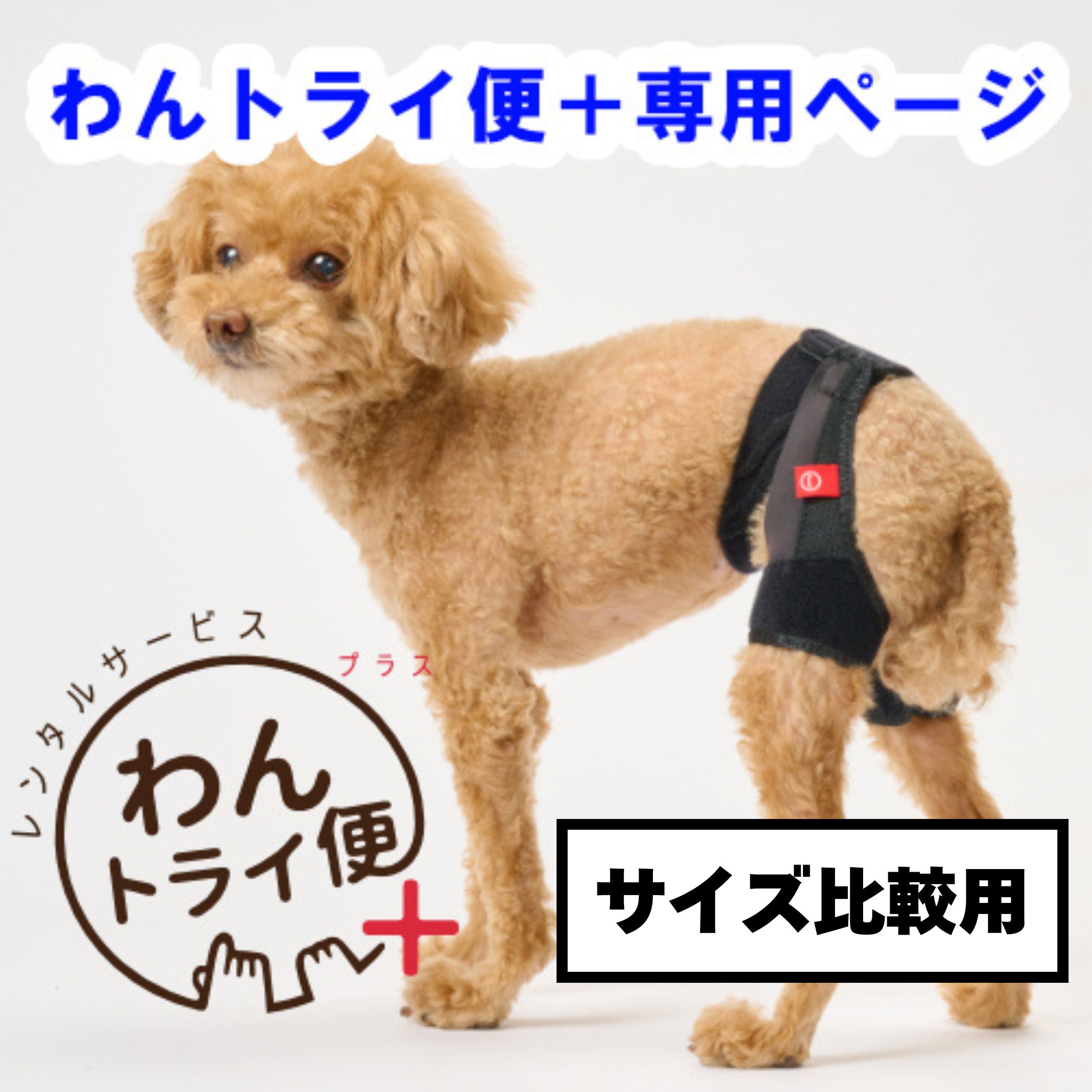 レンタルサービスわんトライ便+】 アニサポ ヒップ 股関節サポーター