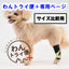 【レンタルサービスわんトライ便+】　アニサポ キック (手首・足首サポーター) 前後サイズ比較用　【7日間のみ】