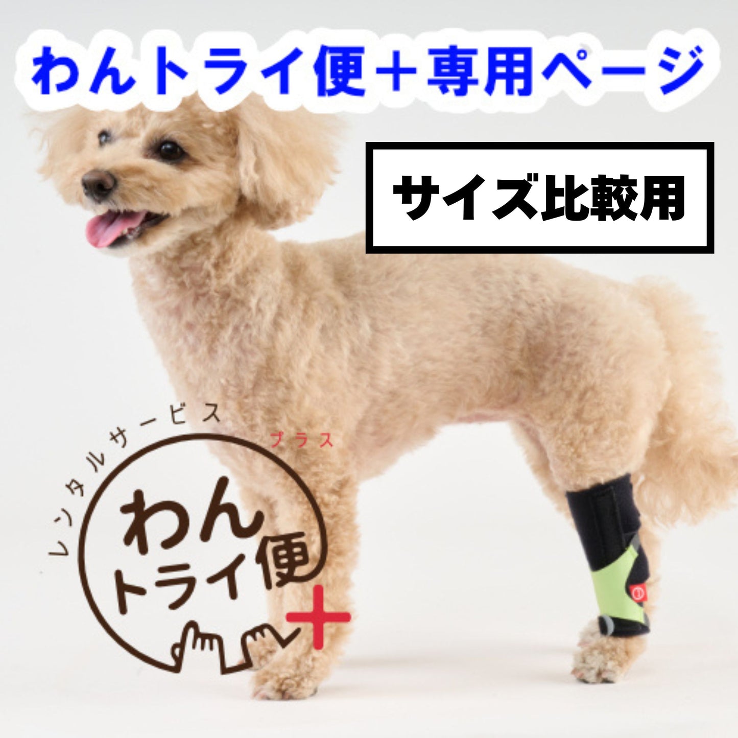 【レンタルサービスわんトライ便+】　アニサポ キック (手首・足首サポーター) 前後サイズ比較用　【7日間のみ】