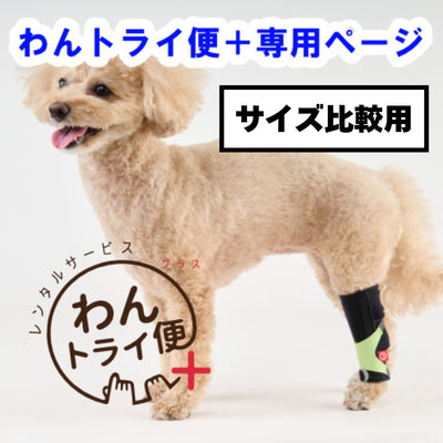 【レンタルサービスわんトライ便+】　アニサポ キック (手首・足首サポーター) 前後サイズ比較用　【7日間のみ】