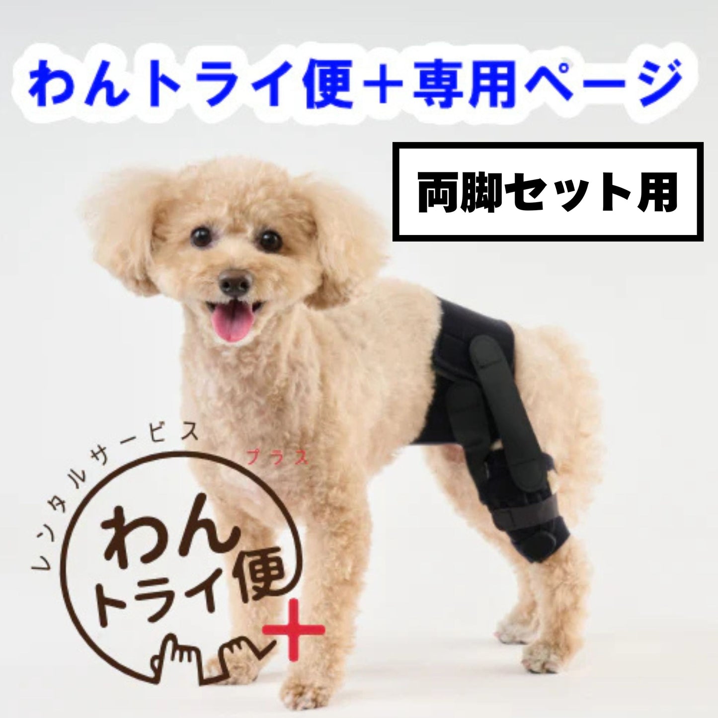 【レンタルサービスわんトライ便+】　アニサポ パテラン　両脚セット用　【7日間】