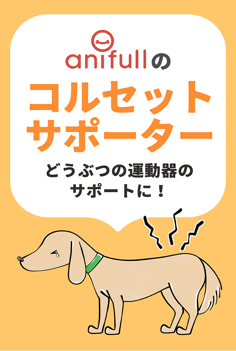 anifull（アニフル）｜動物と”ずっと一緒に歩く”を叶える