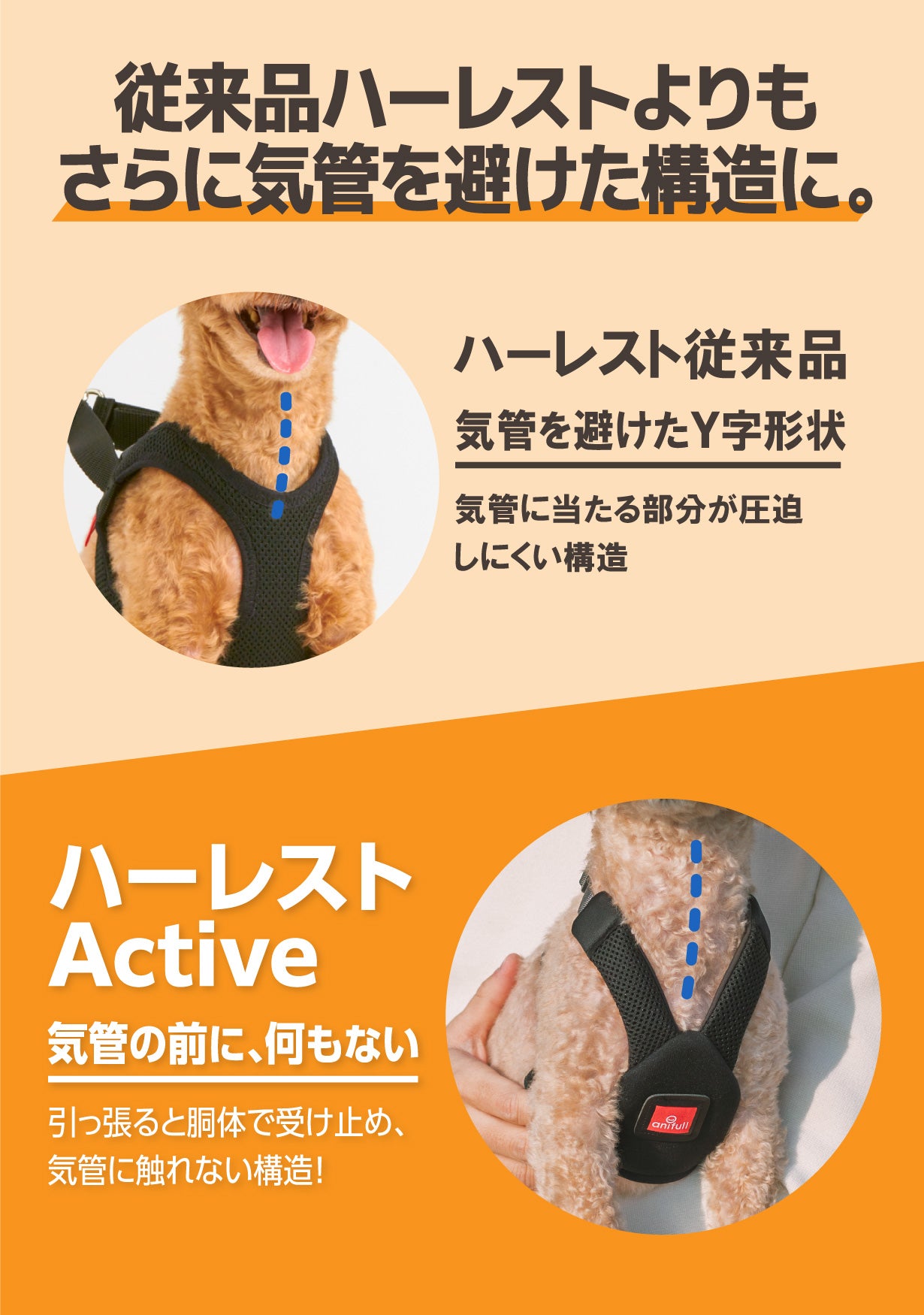 レンタルサービスわんトライ便+】 「アクティブに、どこまでも