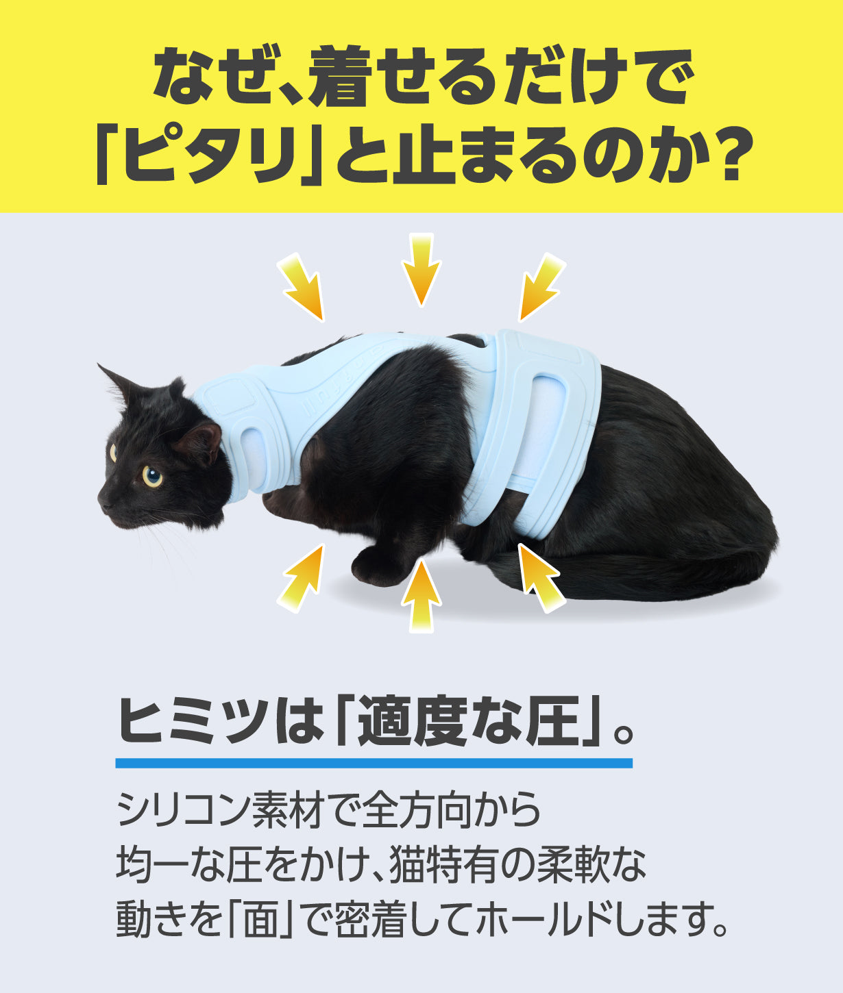 アニサポ にゃんケアチョッキPro　