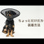 アニサポ ちょっとだけだカラー　＜2025年3月新発売＞