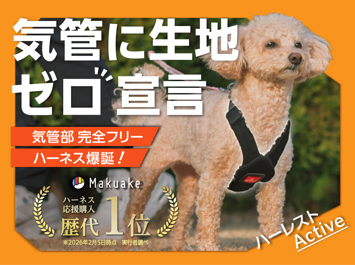 anifull（アニフル）｜動物と”ずっと一緒に歩く”を叶える