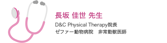 D&C Physical Therapy院長、
                ゼファー動物病院　非常勤獣医師：長坂佳世先生