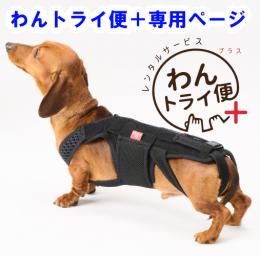 【レンタルサービスわんトライ便+】　わんコル With　ハードタイプ　犬用サポーター　コルセット
