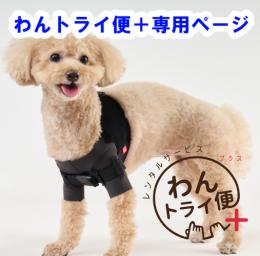 【レンタルサービスわんトライ便+】　アニサポ ショルダースリーブ 犬用肩関節サポーター