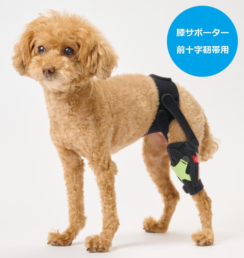 オーダーメイド 膝サポーター 前十字靭帯用 / 犬用コルセット・介護