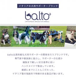 BALTO SPORT AGILE (膝サポーター)　犬用　後ろ足　サポーター　