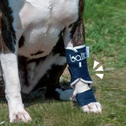 BT SPLINT(手根関節サポーター)　犬用　前足　サポーター