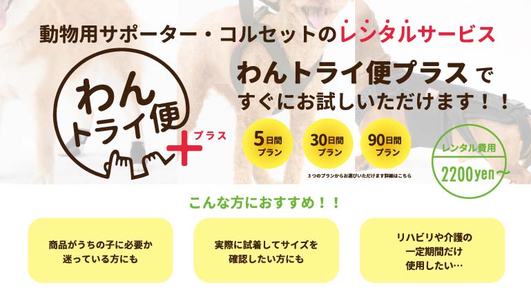 犬用コルセット・介護用品の販売 anifull(アニフル)