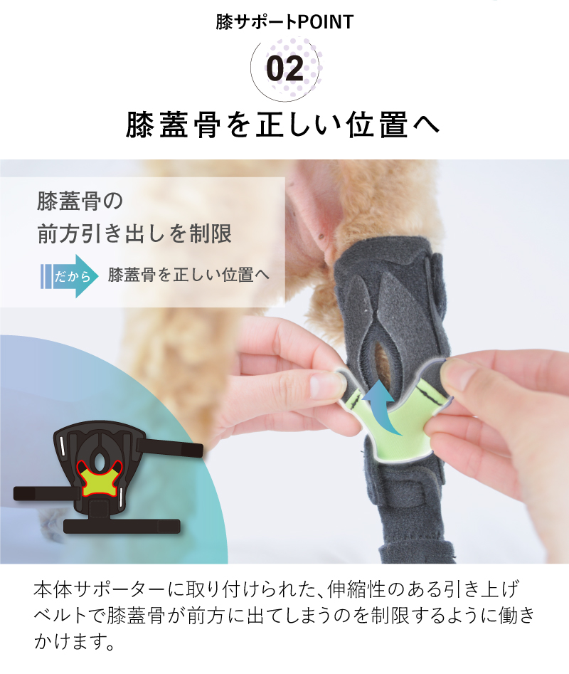 オーダーメイド 犬用膝サポーター 犬用コルセット 介護用品の販売 アニフル